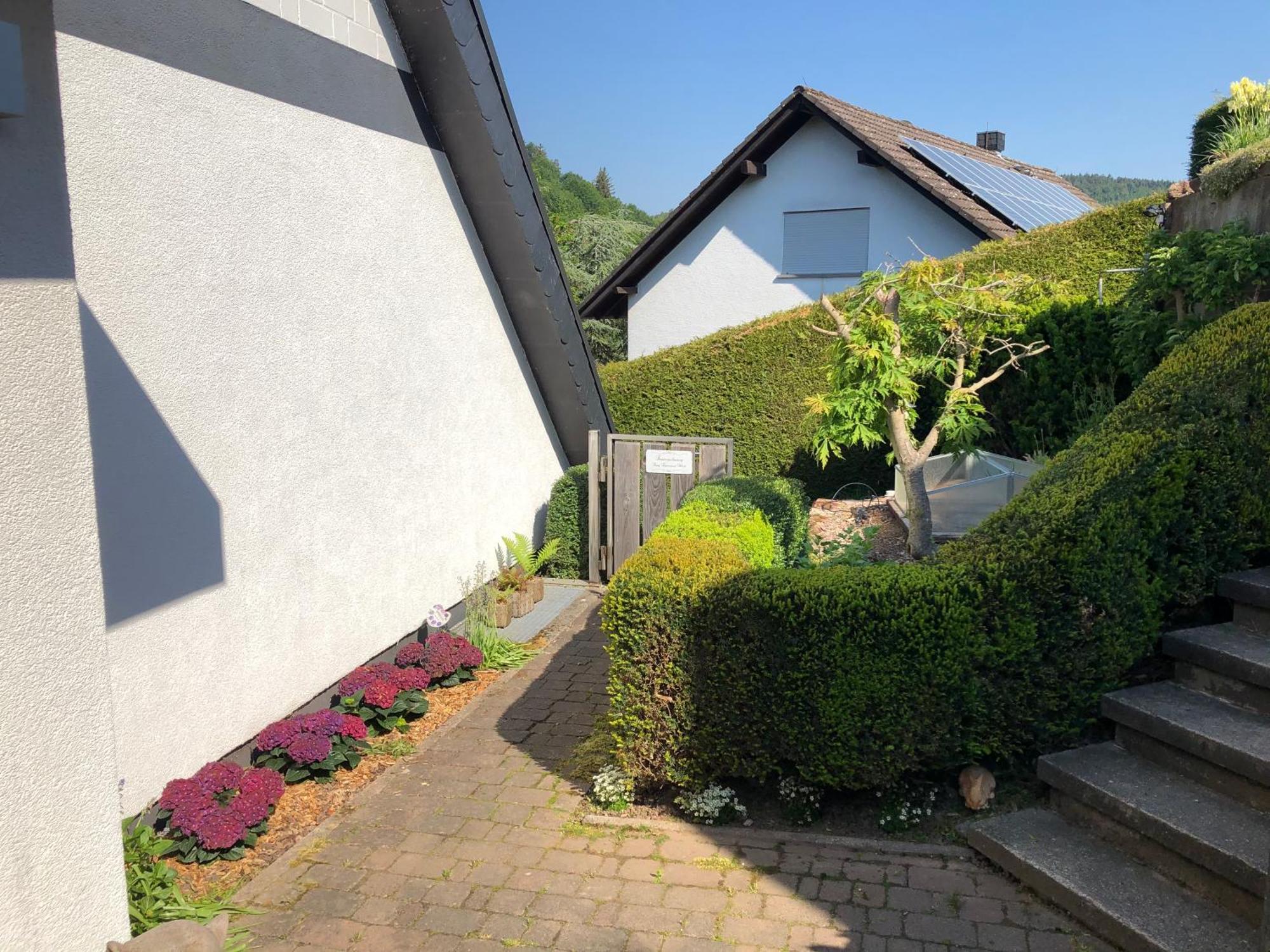 Burg Freienstein Blick 4 Sterne Mit Sauna Gammelsbach Esterno foto
